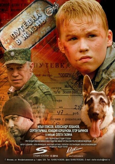 Путевка в жизнь (2013)