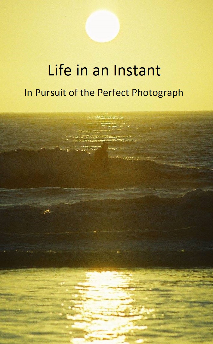Life in an Instant: In Pursuit of the Perfect Photograph (2020)